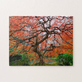 Puzzle Manzana de hojas sobre niebla mañana del otoño en 