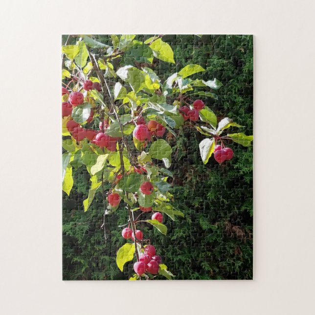 Puzzle Manzanas de cangrejo (Vertical)