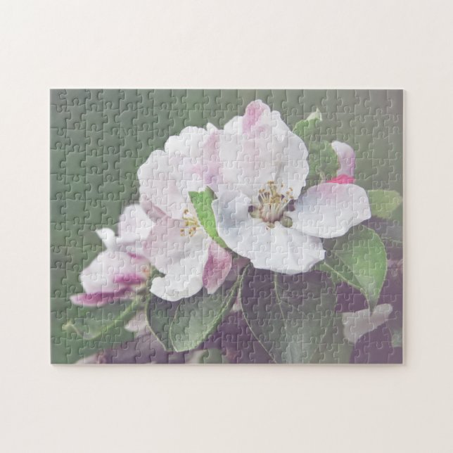 Puzzle Manzano Flor Blanca Rosa en Flor (Horizontal)