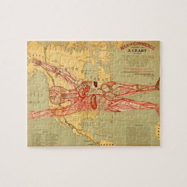 Puzzle Mapa del hombre de comercio de los Estados Unidos  (Horizontal)