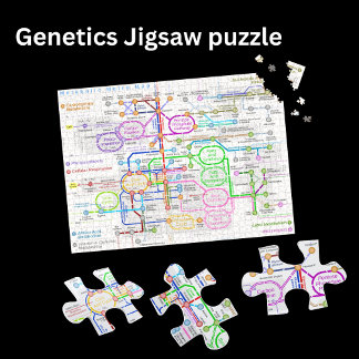 Puzzle Mapa del metro de la ruta metabólica