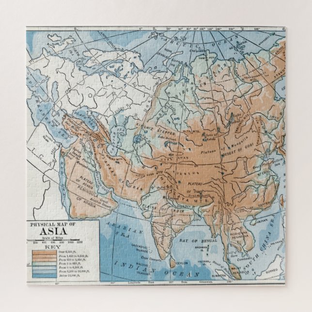 Puzzle Mapa físico de Asia (1916) (Vertical)