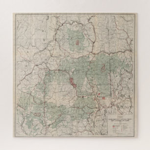 Puzzle Mapa forestal nacional de las Montañas Blancas Vi