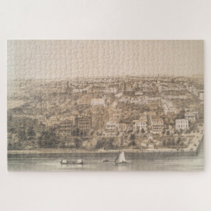 Puzzle Mapa pintoresco de Charleston SC (1851)