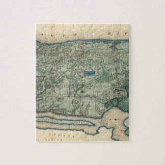 Puzzle Mapa sanitario y topográfico de la ciudad de Nueva