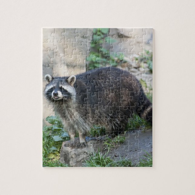 Puzzle Mapache (Vertical)
