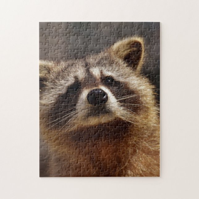 Puzzle Mapache curioso (Vertical)