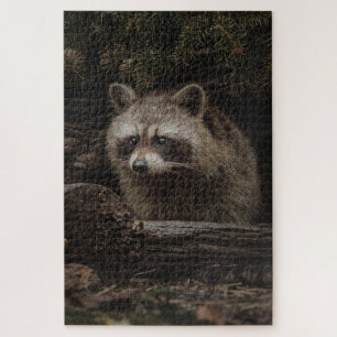 Puzzle Mapache Curioso En El Animal Del Bosque