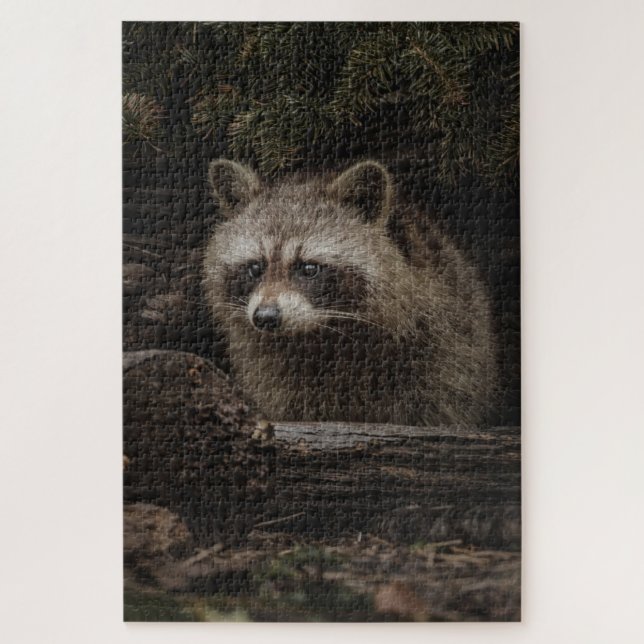 Puzzle Mapache Curioso En El Animal Del Bosque (Vertical)