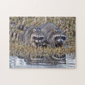 Puzzle Mapaches gemelos