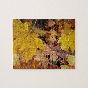 Puzzle Maple caído deja naturaleza otoño amarilla