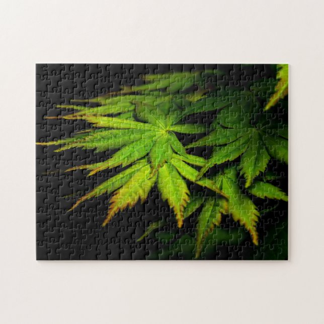 Puzzle Maple japonés (Horizontal)