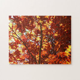 Puzzle Maple japonés al sol
