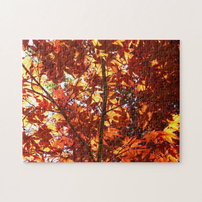 Puzzle Maple japonés al sol (Horizontal)