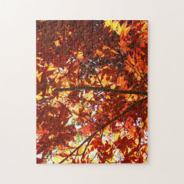 Puzzle Maple japonés al sol