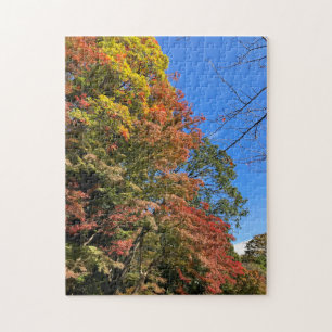 Puzzle Maples de colores vivos
