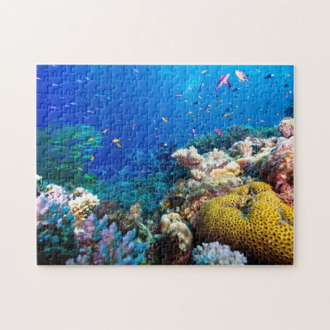 Puzzle Mar de coral - pescados y filón tropicales - (Horizontal)