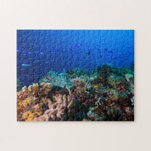 Puzzle Mar de coral - pescados y filón tropicales -