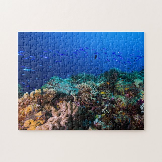 Puzzle Mar de coral - pescados y filón tropicales - (Horizontal)