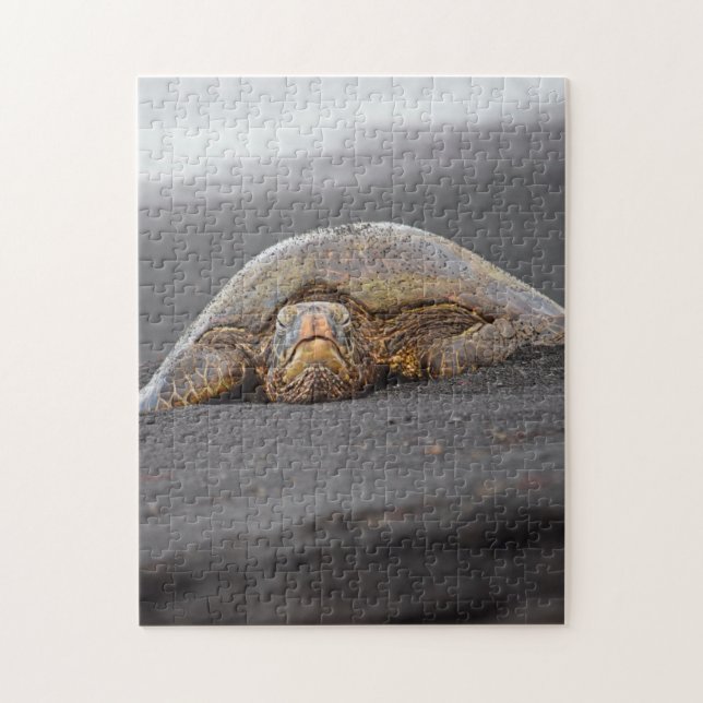 Puzzle Mar Turtle Black Sand Beach Hawaii - 11x14 -252 pc (Vertical)