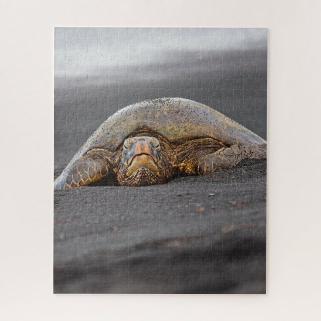 Puzzle Mar Turtle Black Sand Beach Hawaii - 16x20- 520 pc (Vertical)