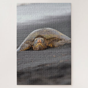 Puzzle Mar Turtle Black Sand Beach Hawaii -20x30- 1014 pc