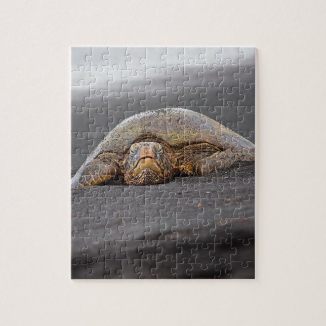 Puzzle Mar Turtle Black Sand Beach Hawaii 8x10 - 110 pc (Vertical)
