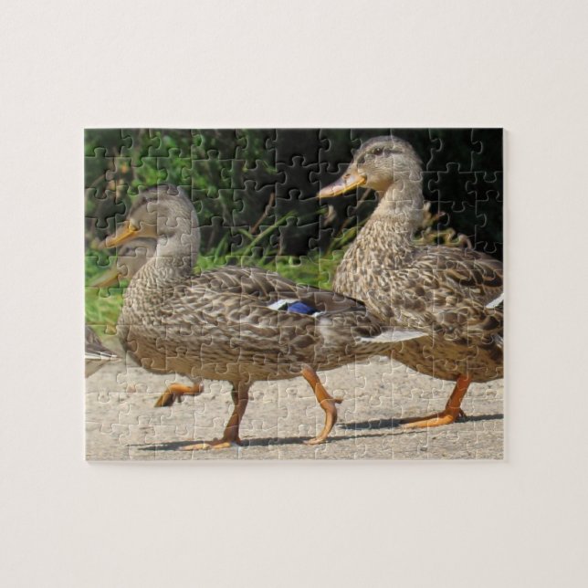 Puzzle Marcha de los Patos (Horizontal)