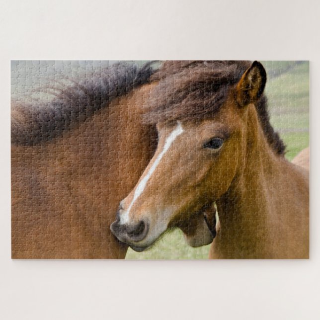 Puzzle Mare Y Colt (Horizontal)