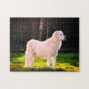 Puzzle Maremma Sheepdog Beauty