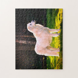 Puzzle Maremma Sheepdog Beauty