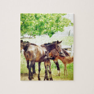 Puzzle Mares and Foals