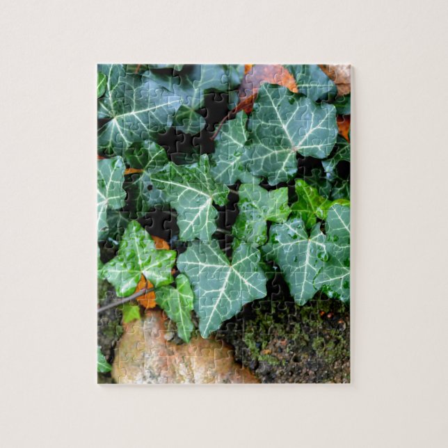 Puzzle Marfil botánico verde y piedra de campo (Vertical)
