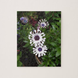 Puzzle Margarita africana blanca