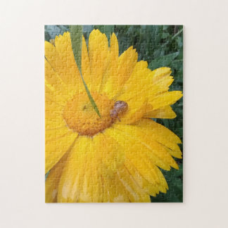 Puzzle Margarita Soleada Florece con Pequeño Visitante
