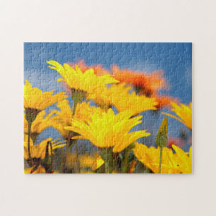 Puzzle Margaritas naranjas y amarillas de Namaqualand