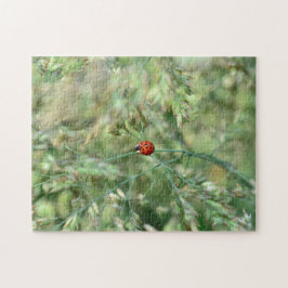 Puzzle Marienkäfer unterwegs....