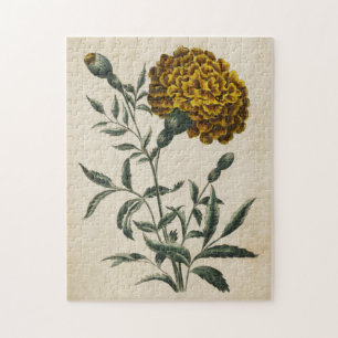 Puzzle Marigold Botánico Vintage