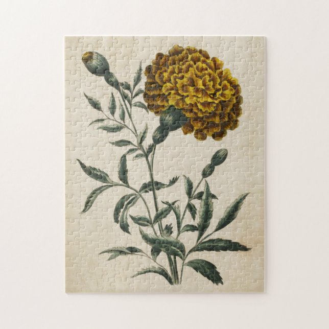 Puzzle Marigold Botánico Vintage (Vertical)