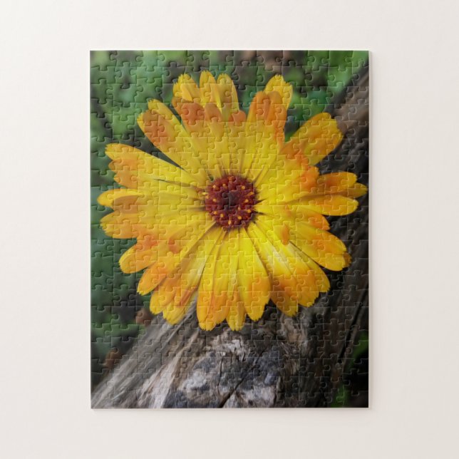 Puzzle marigold en el registro (Vertical)