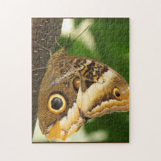 Puzzle Mariposa