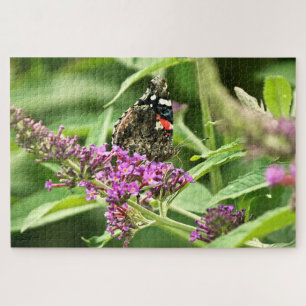 Puzzle Mariposa Almirante Rojo