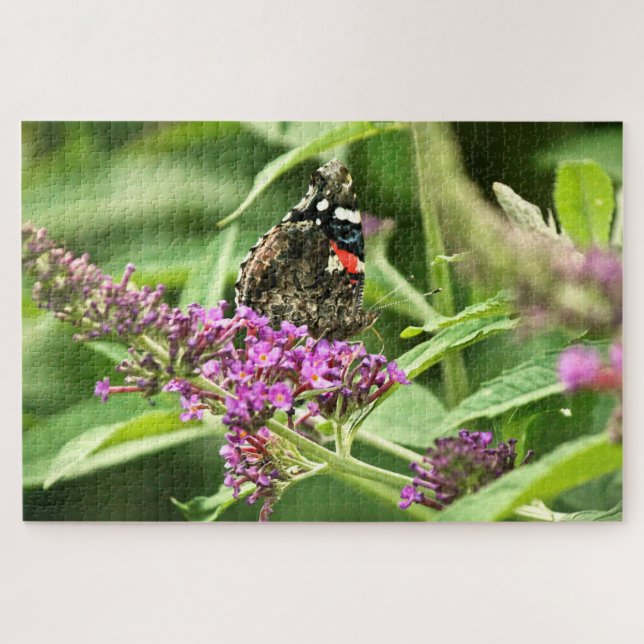 Puzzle Mariposa Almirante Rojo (Horizontal)