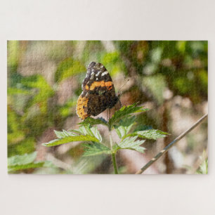Puzzle Mariposa Almirante Rojo Pacífico Noroeste