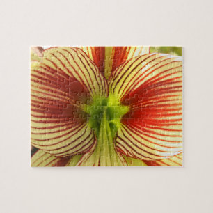 Puzzle Mariposa Amaryllis