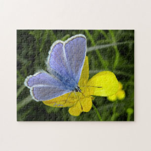Puzzle mariposa azul