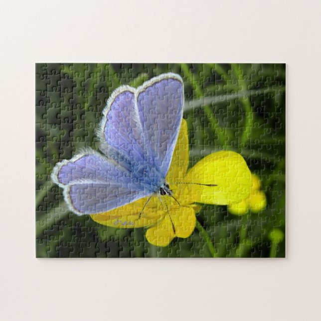 Puzzle mariposa azul (Horizontal)