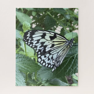 Puzzle Mariposa blanca negra