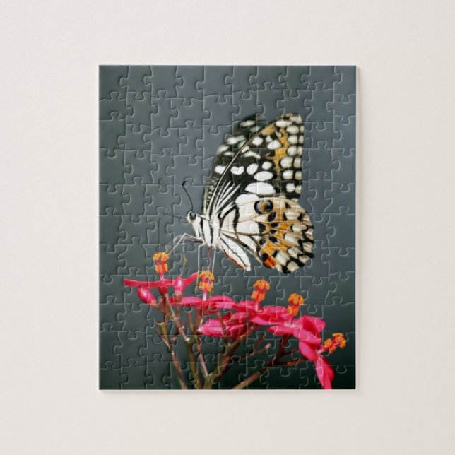 Puzzle Mariposa blanca negra y amarilla en flores rosas (Vertical)