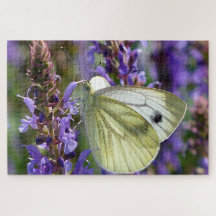 Mariposa blanca Pieris Rapae.